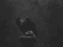 Gif animé gothique vautour